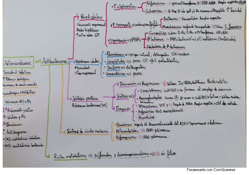 Miniatura del documento Tabla-antibioticos.pdf