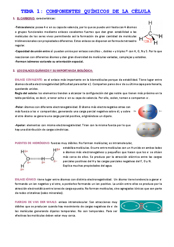 Miniatura del documento TEMA-1-COMPONENTES-QUIMICOS-DE-LA-CELULA.pdf
