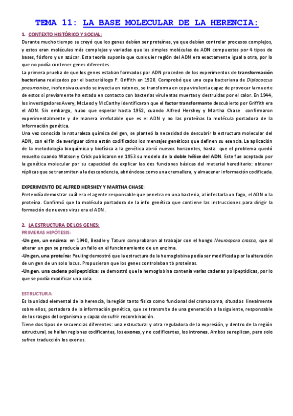 Miniatura del documento TEMA-11-LA-BASE-MOLECULAR-DE-LA-HERENCIA.pdf