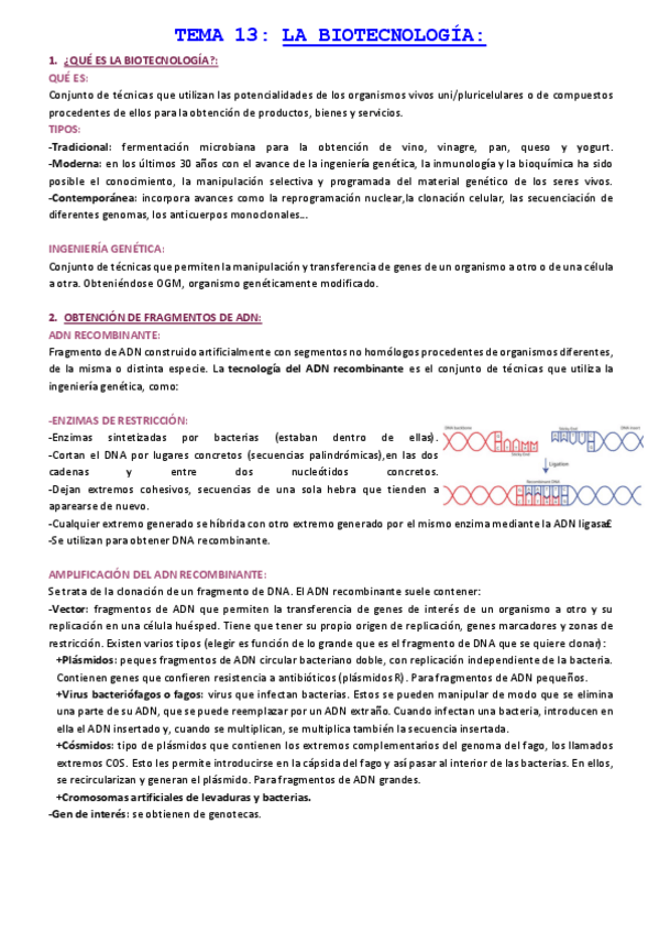 Miniatura del documento TEMA-13-LA-BIOTECNOLOGIA.pdf