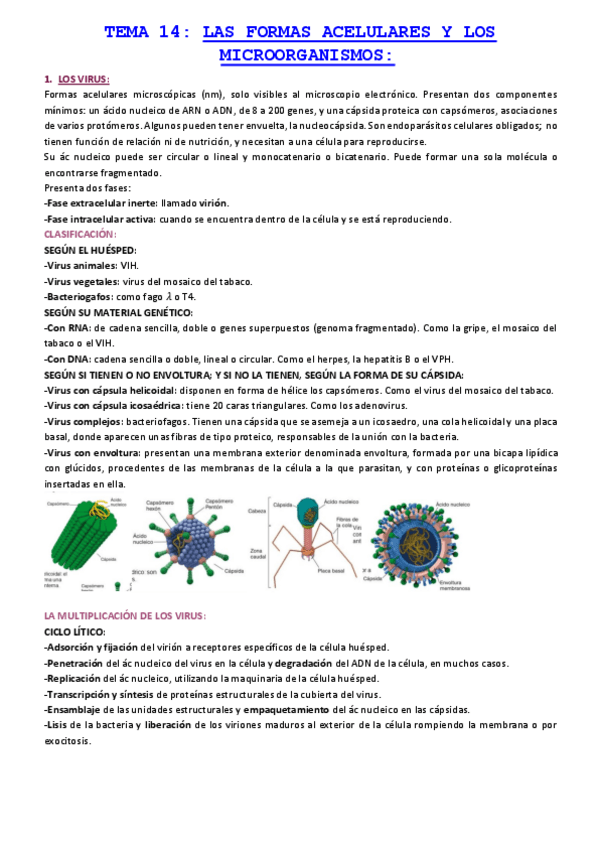 Miniatura del documento TEMA-14-LAS-FORMAS-ACELULARES-Y-LOS-MICROORGANISMOS.pdf