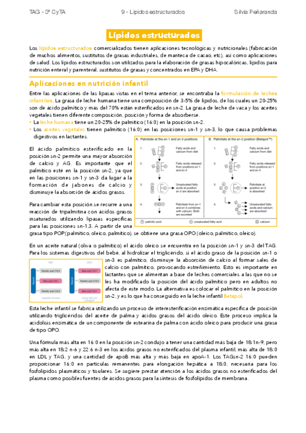 Miniatura del documento 9-Lipidos-estructurados.pdf