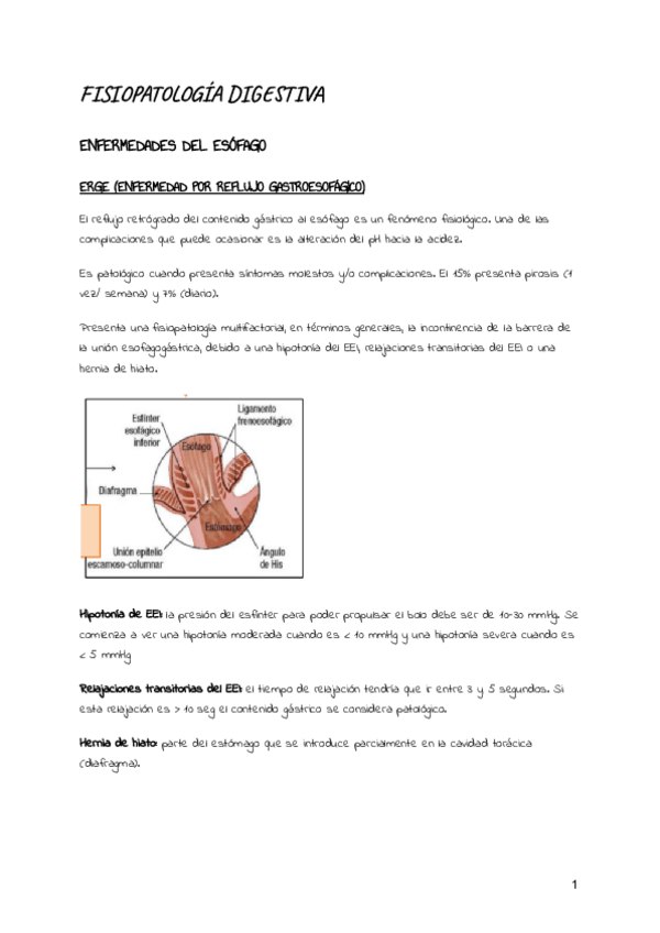 Miniatura del documento FISIOPATOLOGIA-DIGESTIVA.pdf