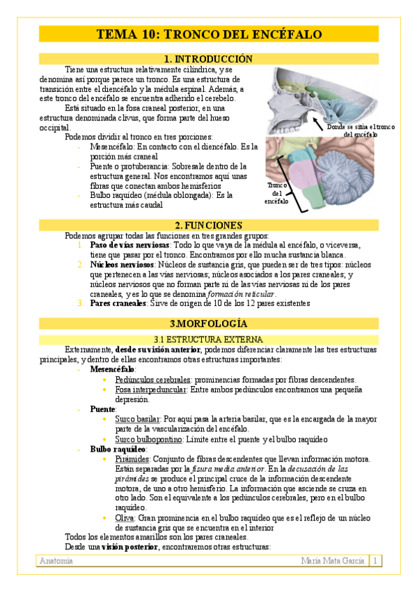 Miniatura del documento TEMA-10.pdf