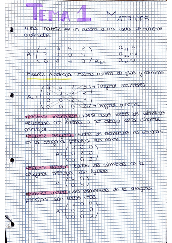 Miniatura del documento Tema 1 Matrices EBAU