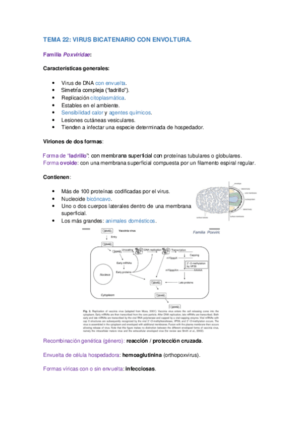 Miniatura del documento T.pdf