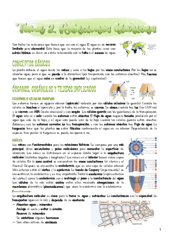 Miniatura del documento Tema-2.pdf