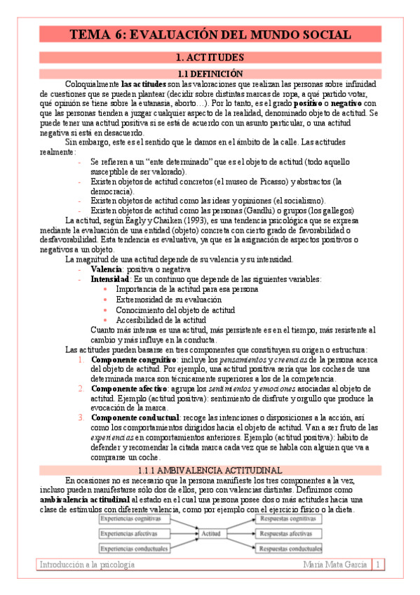 Miniatura del documento TEMA 6. Evaluación del mundo social