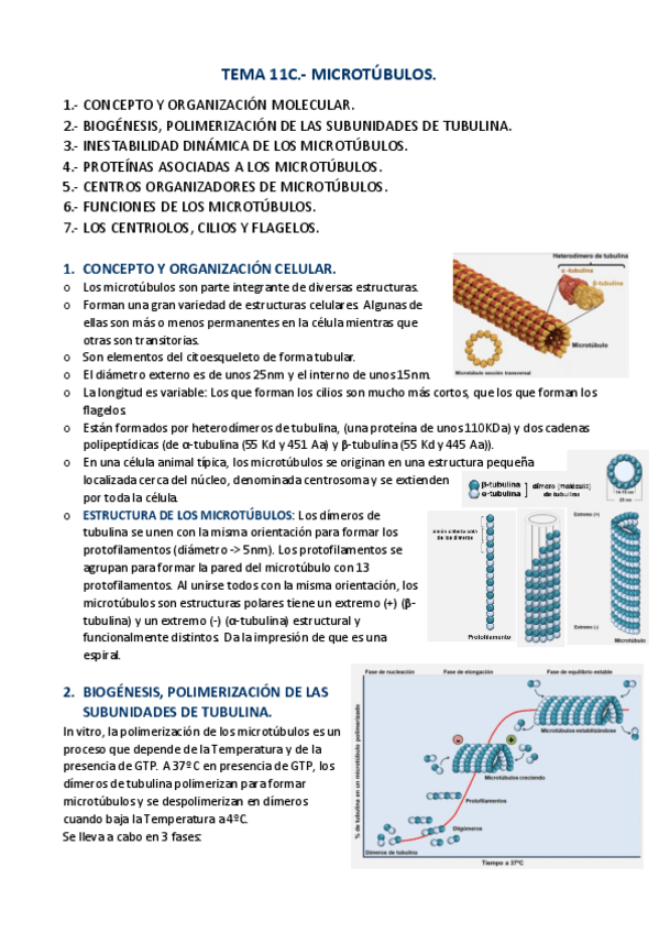 Miniatura del documento APUNTES-T.pdf