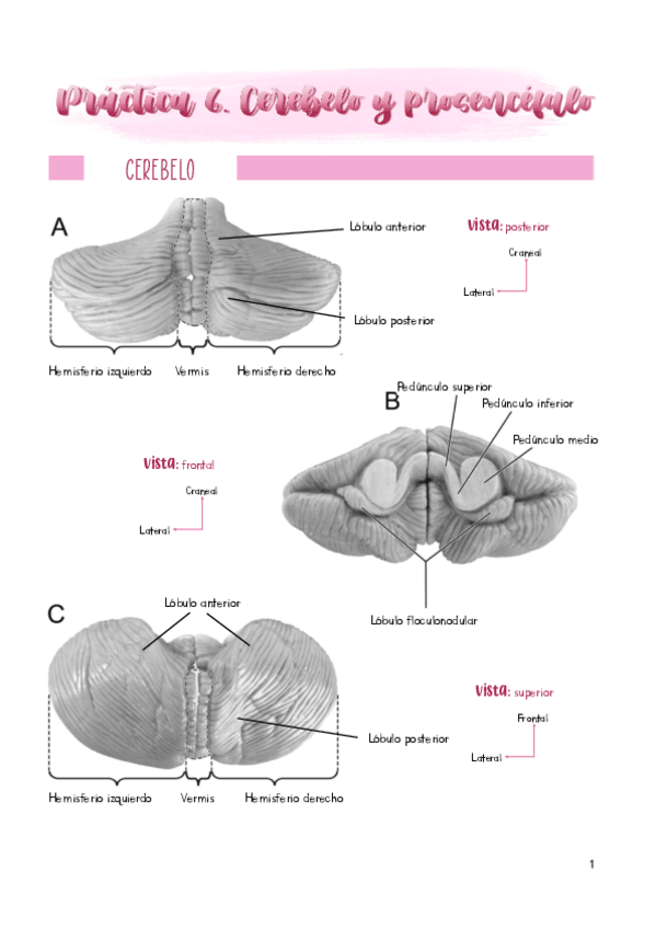 Miniatura del documento Practica-6.pdf