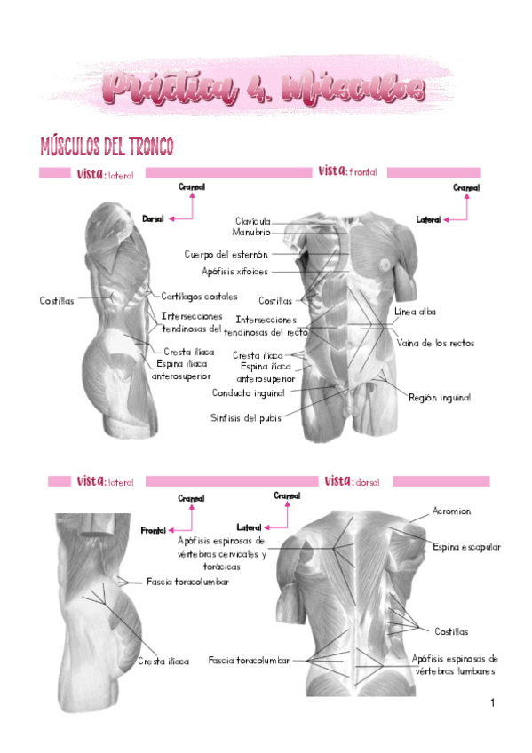Miniatura del documento Practica-4.pdf