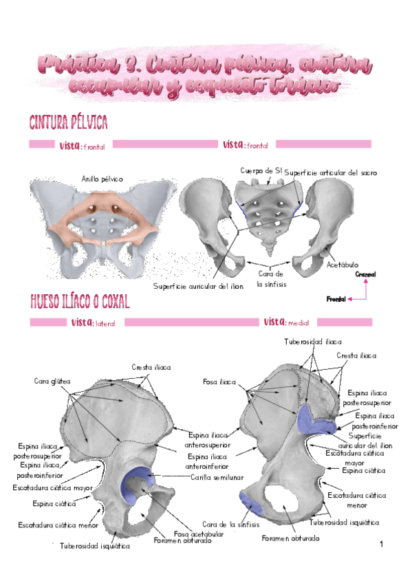 Miniatura del documento Practica-3.pdf