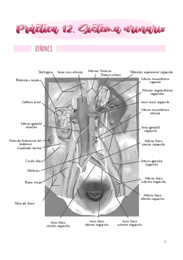 Miniatura del documento Practica-12.pdf