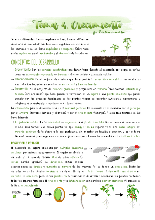 Miniatura del documento Tema-4.pdf