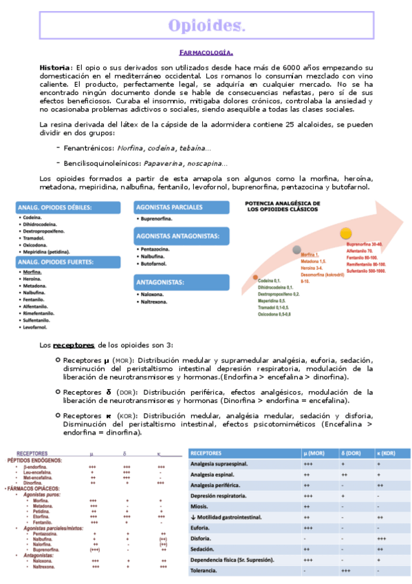 Miniatura del documento opioides.pdf