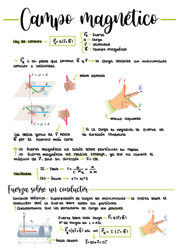 Miniatura del documento campo-magnetico.pdf