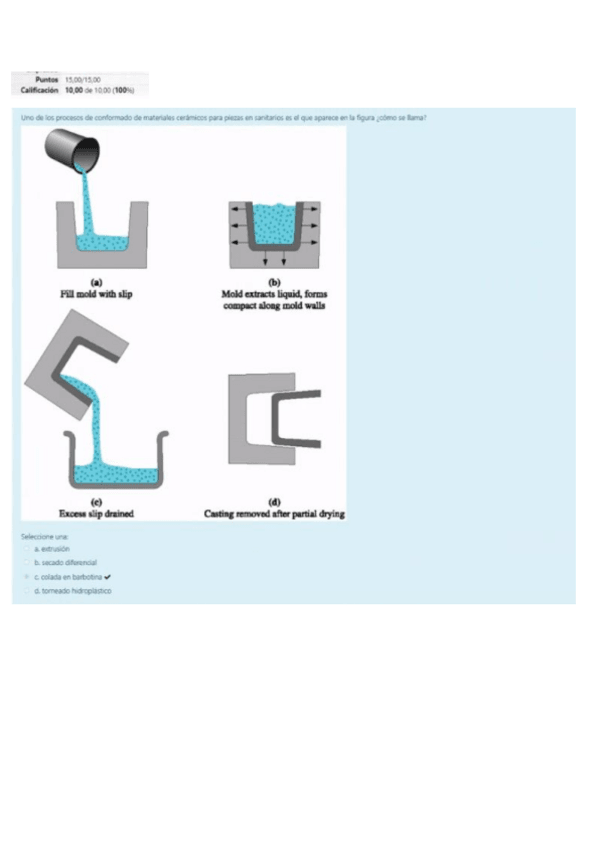 Miniatura del documento Test-lectura-dirigida-II.pdf