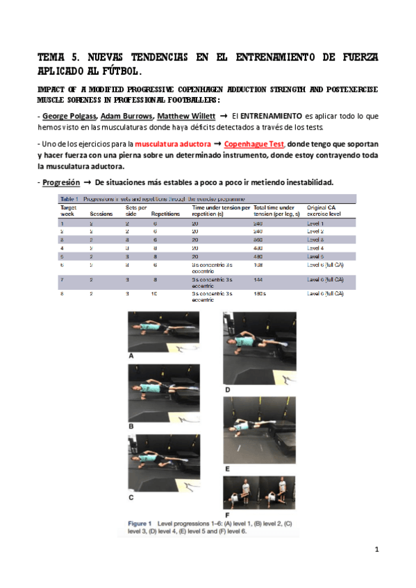 Miniatura del documento TEMA-5-AIDA-FUTBOL.pdf