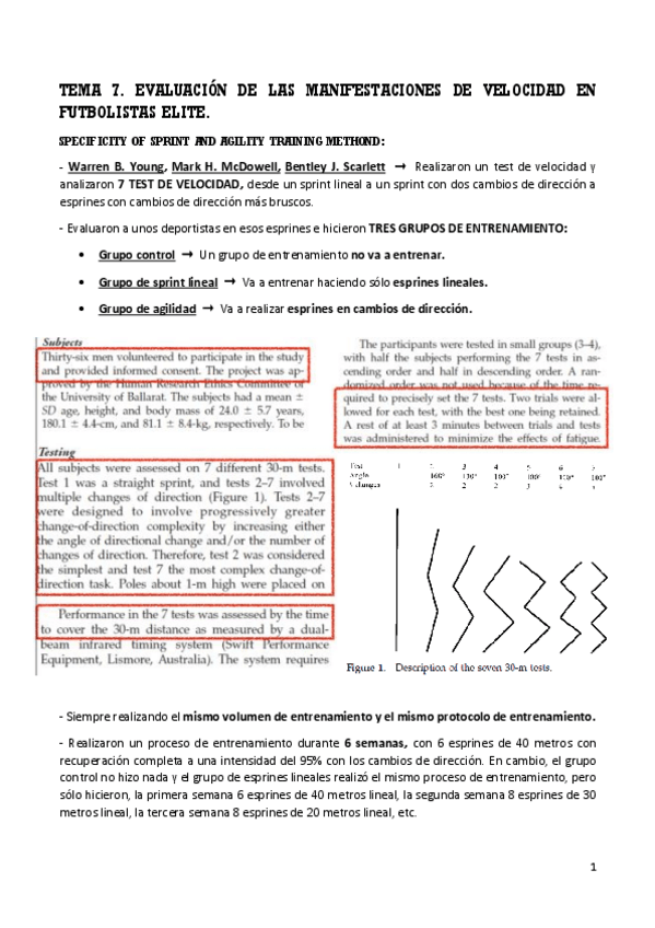 Miniatura del documento TEMA-7-AIDA-FUTBOL.pdf