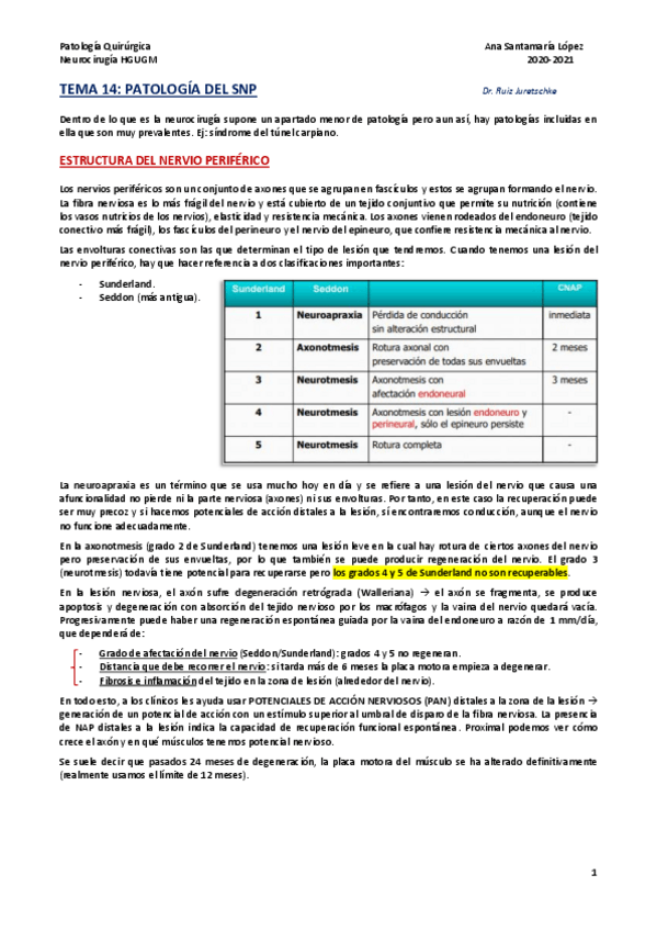 Miniatura del documento Tema-14-Patologia-del-Sistema-Nervioso-Periferico.pdf