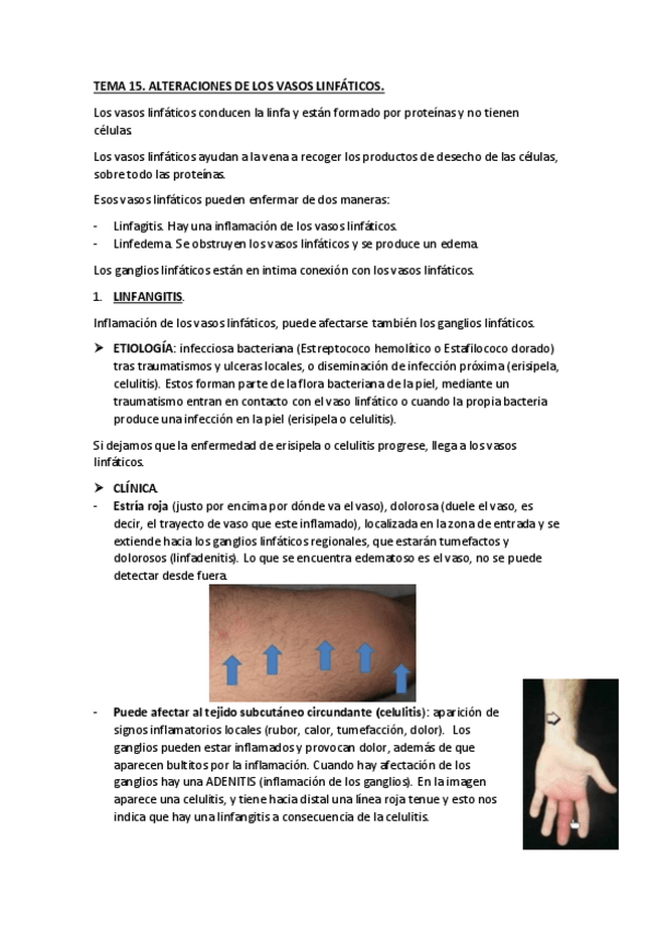 Miniatura del documento TEMA-15.pdf
