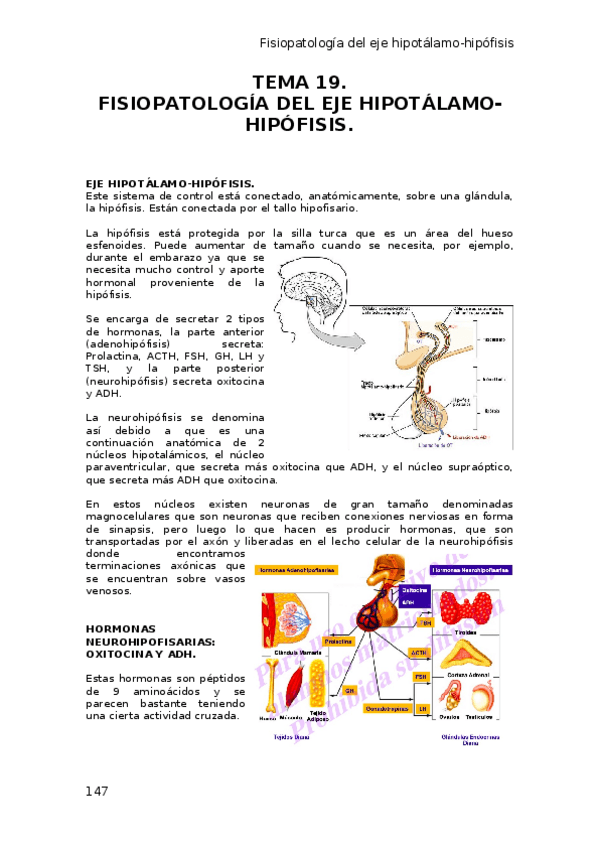 Miniatura del documento TEMA-19-fisiopato-.docx