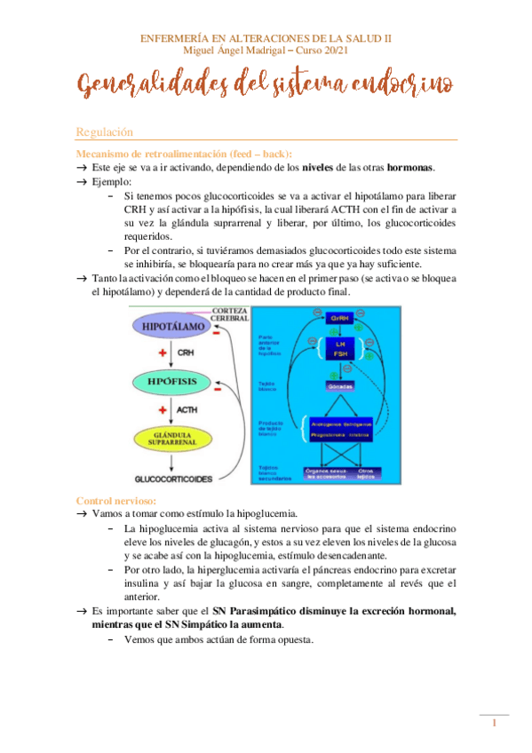 Miniatura del documento Generalidades-del-sistema-endocrino.pdf