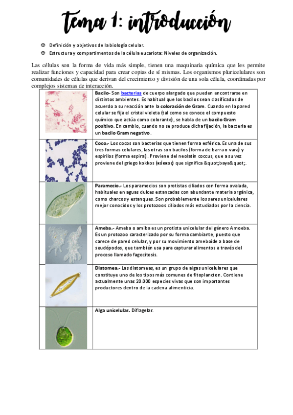 Miniatura del documento Tema-1.pdf