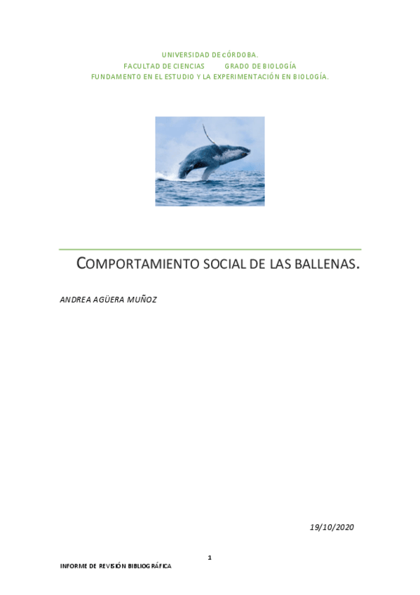 Miniatura del documento Informe-bibliografia-Andrea-Aguera-Munoz.pdf