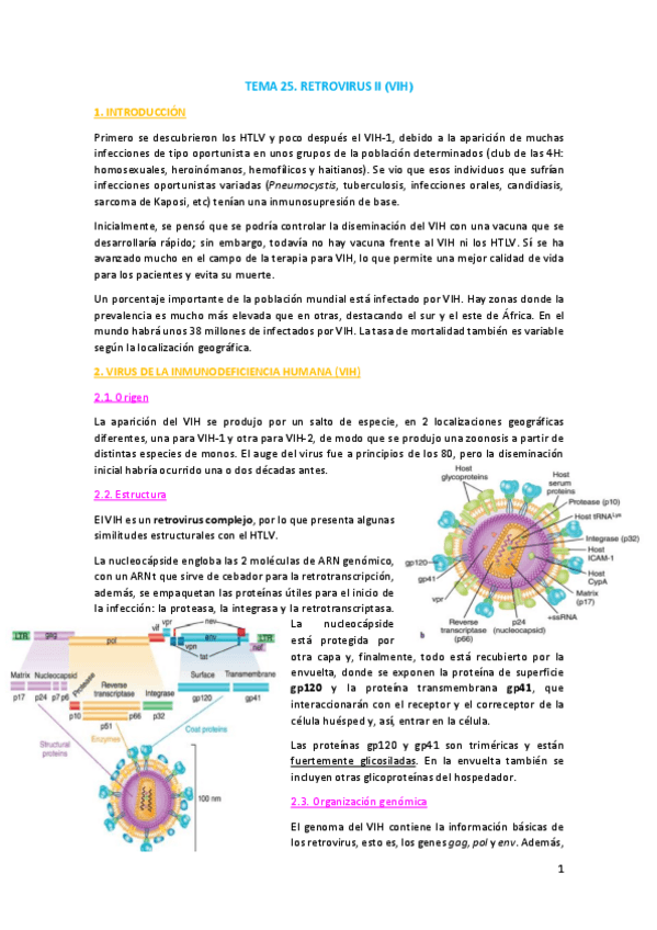 Miniatura del documento TEMA-25.pdf