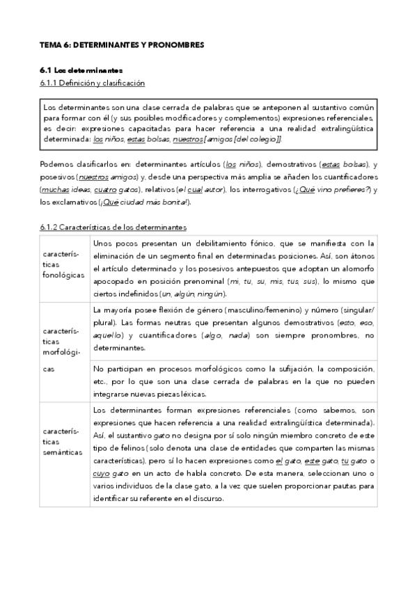 Miniatura del documento tema-6-pronombres.pdf