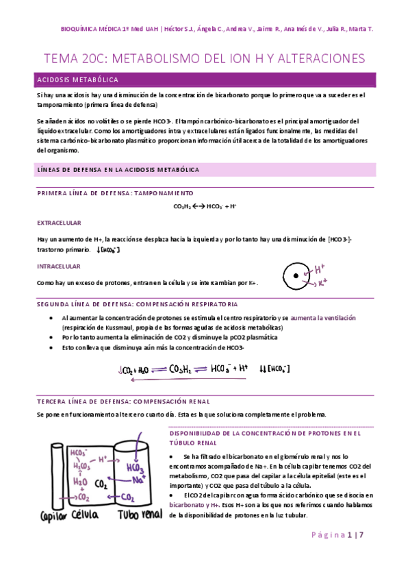 Miniatura del documento TEMA-20C-ALTERACIONES-DEL-METABPLISMO-DEL-ION-H.pdf