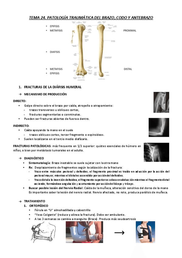 Miniatura del documento T24.pdf
