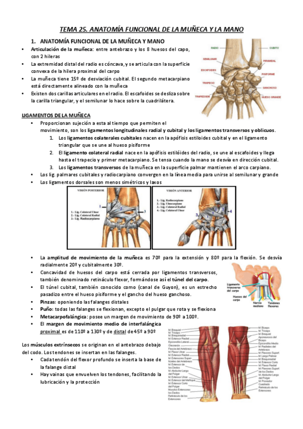 Miniatura del documento T25.pdf