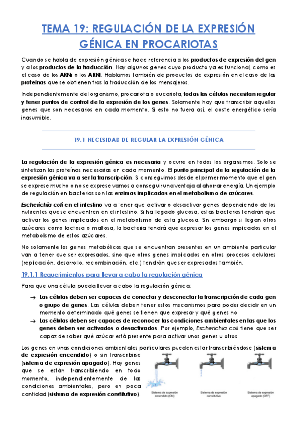 Miniatura del documento TEMA-19.pdf