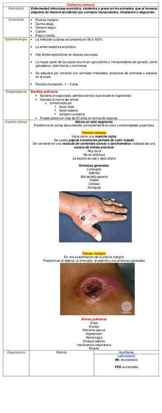 Miniatura del documento CUADRO-CARBUNCO-.pdf