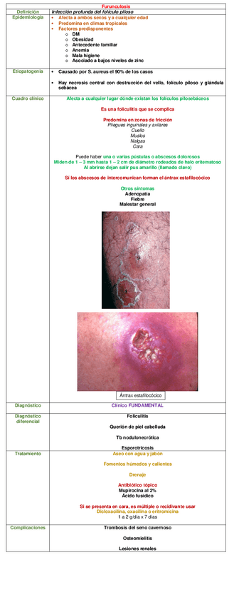Miniatura del documento CUADRO-FURUNCULOSIS.pdf