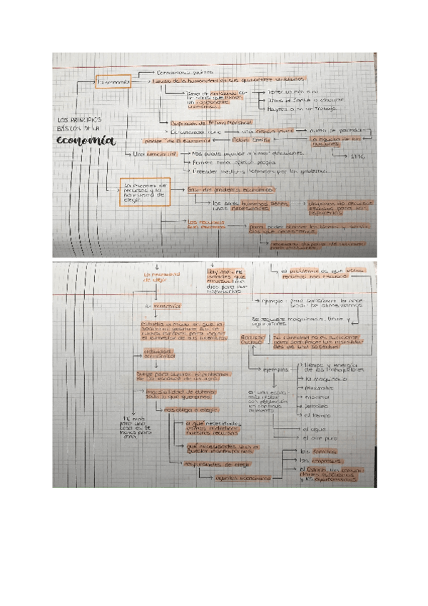 Miniatura del documento Los-principios-basicos-de-la-economia.pdf