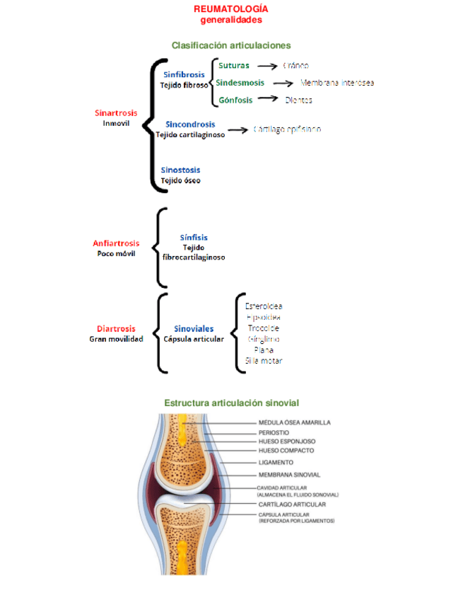 Miniatura del documento CUADRO-HISTORIA-CLINICA-SEMIOLOGIA-Y-LABORATORIO-EN-REUMATOLOGIA.pdf
