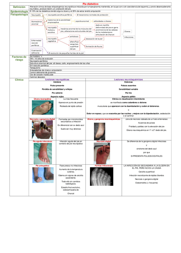 Miniatura del documento CUADRO-PIE-DIABETICO.pdf