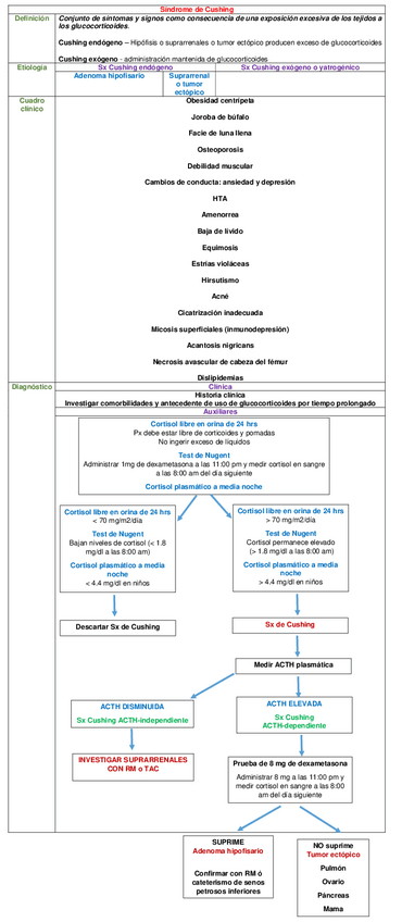 Miniatura del documento CUADRO-SINDROME-DE-CUSHING.pdf