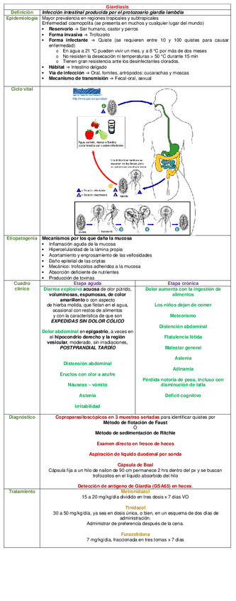 Miniatura del documento CUADRO-GIARDIASIS.pdf