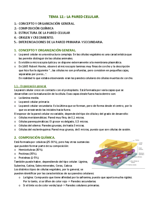 Miniatura del documento APUNTES-T.pdf