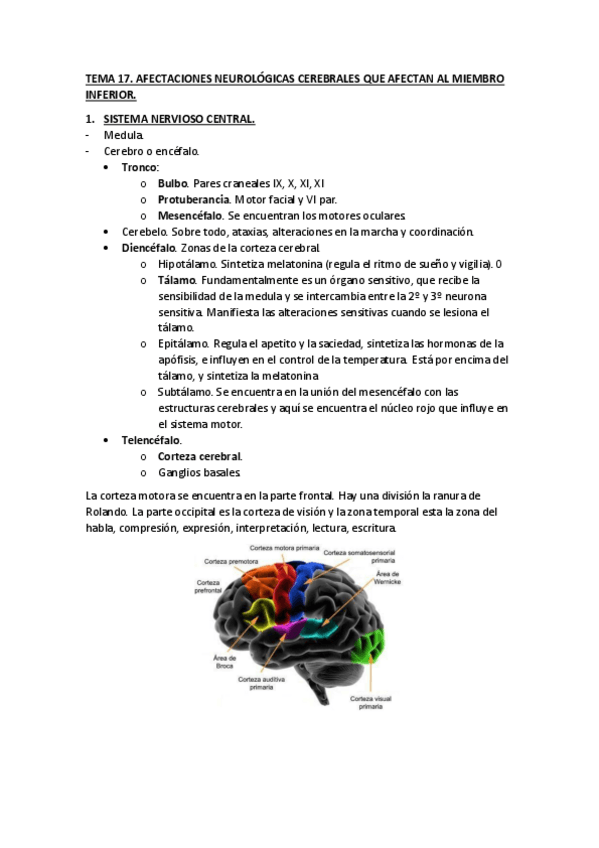 Miniatura del documento TEMA-17.pdf