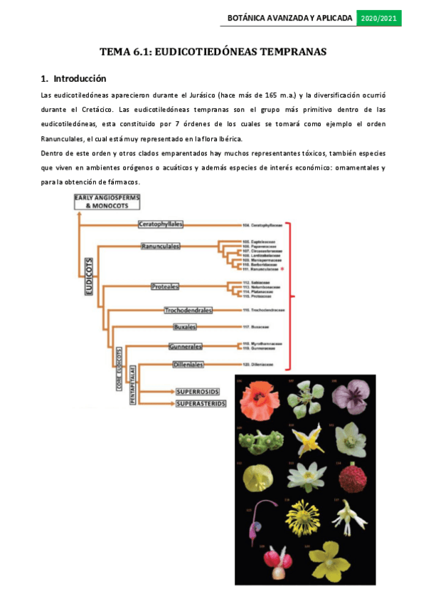 Miniatura del documento Tema-6.pdf