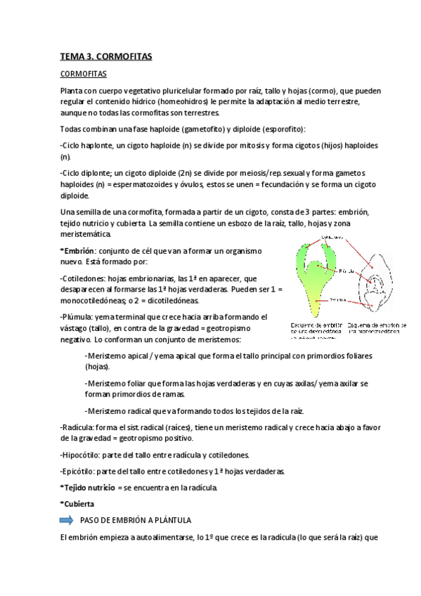 Miniatura del documento Tema 3. Botánica (1).pdf