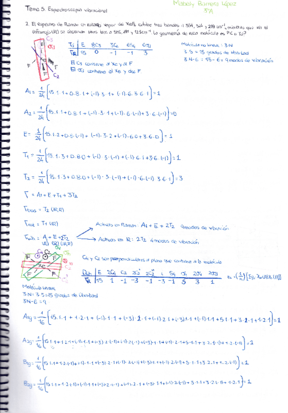 Miniatura del documento TEMA-5.pdf