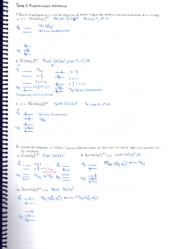 Miniatura del documento TEMA-6.pdf