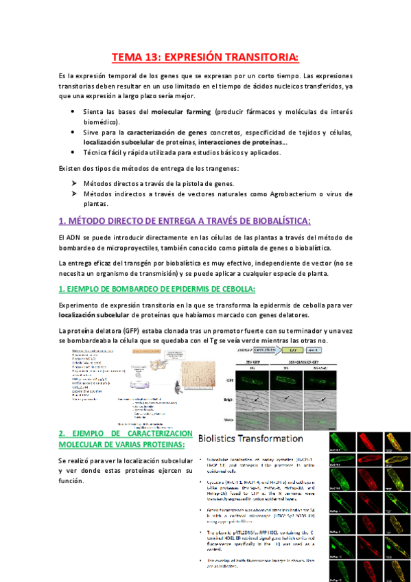 Miniatura del documento TEMA-13.pdf