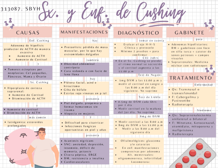 Miniatura del documento Suprarrenales.pdf